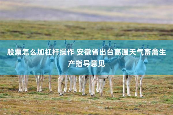股票怎么加杠杆操作 安徽省出台高温天气畜禽生产指导意见
