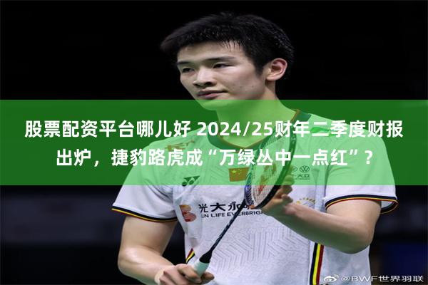 股票配资平台哪儿好 2024/25财年二季度财报出炉，捷豹路虎成“万绿丛中一点红”？