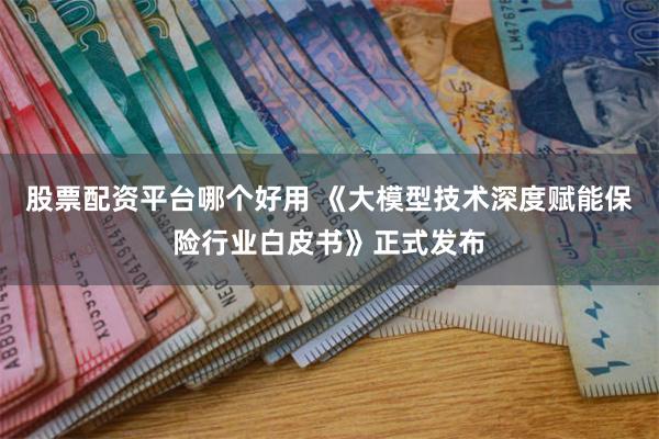股票配资平台哪个好用 《大模型技术深度赋能保险行业白皮书》正式发布
