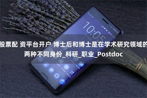 股票配 资平台开户 博士后和博士是在学术研究领域的两种不同身份_科研_职业_Postdoc
