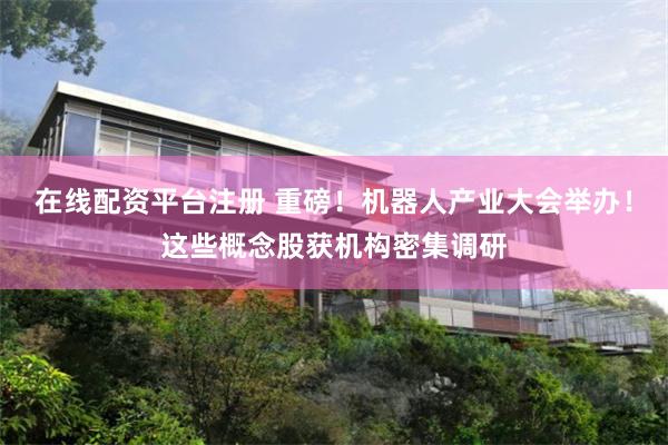 在线配资平台注册 重磅！机器人产业大会举办！这些概念股获机构密集调研