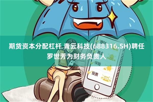 期货资本分配杠杆 青云科技(688316.SH)聘任罗世芳为财务负责人