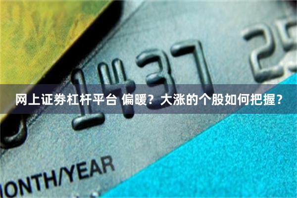 网上证劵杠杆平台 偏暖？大涨的个股如何把握？