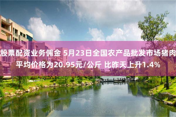 股票配资业务佣金 5月23日全国农产品批发市场猪肉平均价格为20.95元/公斤 比昨天上升1.4%