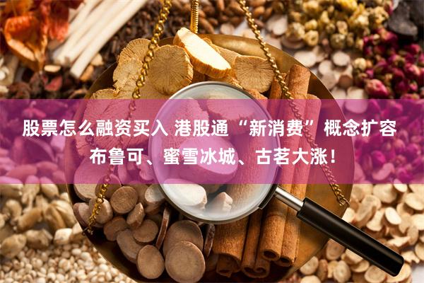 股票怎么融资买入 港股通 “新消费” 概念扩容 布鲁可、蜜雪冰城、古茗大涨！
