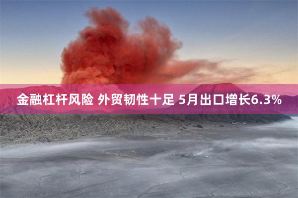 金融杠杆风险 外贸韧性十足 5月出口增长6.3%