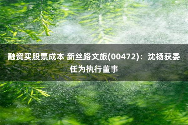 融资买股票成本 新丝路文旅(00472)：沈杨获委任为执行董事