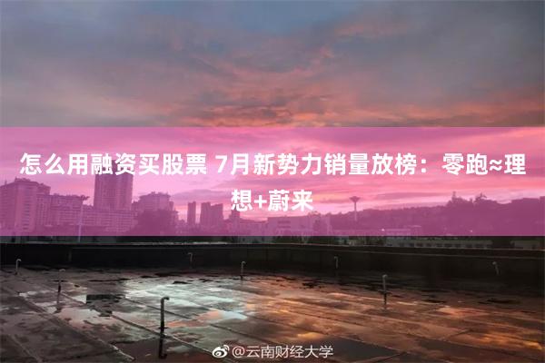 怎么用融资买股票 7月新势力销量放榜：零跑≈理想+蔚来