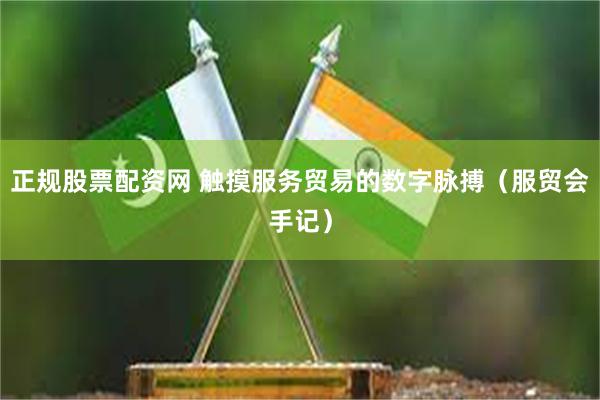 正规股票配资网 触摸服务贸易的数字脉搏（服贸会手记）