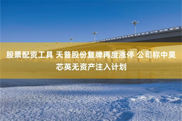 股票配资工具 天普股份复牌再度涨停 公司称中昊芯英无资产注入计划